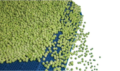 Fruit and vegetable processing applications